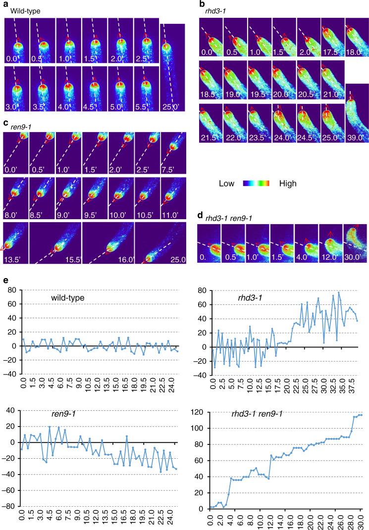 https://cdn.ncbi.nlm.nih.gov/pmc/blobs/94b9/7606470/a7a1b2927ea5/41467_2020_19343_Fig2_HTML.jpg