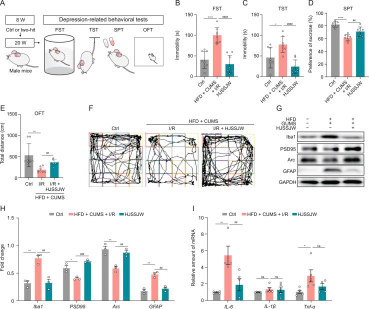 https://cdn.ncbi.nlm.nih.gov/pmc/blobs/94bb/11061219/35623b75fe02/gr8.jpg