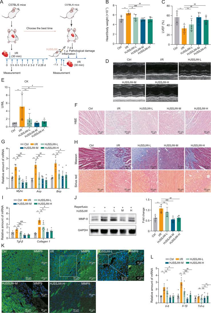 https://cdn.ncbi.nlm.nih.gov/pmc/blobs/94bb/11061219/90d693db9534/gr6.jpg