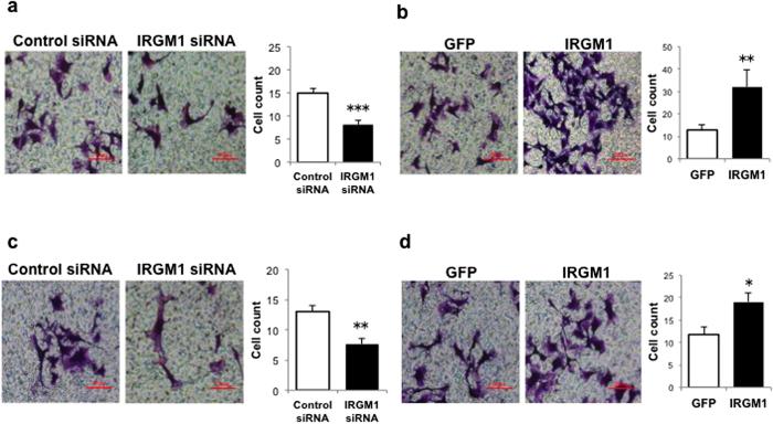 https://cdn.ncbi.nlm.nih.gov/pmc/blobs/94bb/4512008/a398c27c4e27/srep12357-f2.jpg