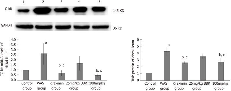 https://cdn.ncbi.nlm.nih.gov/pmc/blobs/94bc/6689801/100a7fd1e092/WJG-25-3956-g009.jpg