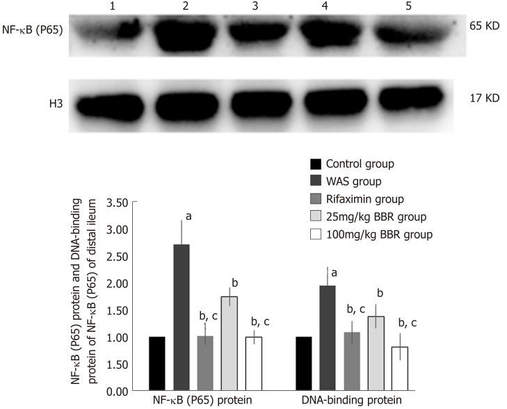 https://cdn.ncbi.nlm.nih.gov/pmc/blobs/94bc/6689801/de95c2023b3d/WJG-25-3956-g003.jpg