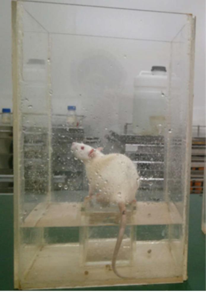 https://cdn.ncbi.nlm.nih.gov/pmc/blobs/94bc/6689801/f36bfe47879d/WJG-25-3956-g001.jpg