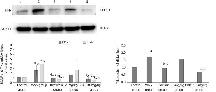 https://cdn.ncbi.nlm.nih.gov/pmc/blobs/94bc/6689801/f6fd5b3c69a7/WJG-25-3956-g008.jpg