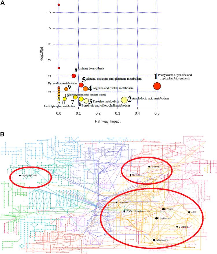 https://cdn.ncbi.nlm.nih.gov/pmc/blobs/94be/8097142/9551d73e2082/fphar-12-596652-g006.jpg