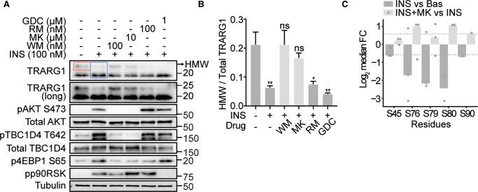 https://cdn.ncbi.nlm.nih.gov/pmc/blobs/94bf/9284383/8a1700900620/BCJ-479-1237-g0002.jpg