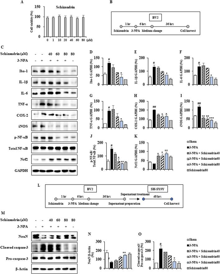 https://cdn.ncbi.nlm.nih.gov/pmc/blobs/94c2/11700980/5dd947d330ad/fphar-15-1471024-g009.jpg