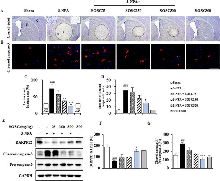 https://cdn.ncbi.nlm.nih.gov/pmc/blobs/94c2/11700980/5ff5c552abbc/fphar-15-1471024-g004.jpg