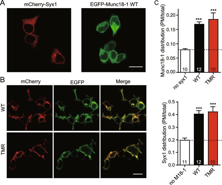 https://cdn.ncbi.nlm.nih.gov/pmc/blobs/94c4/10347870/1b6a170f69a7/12915_2023_1655_Fig3_HTML.jpg