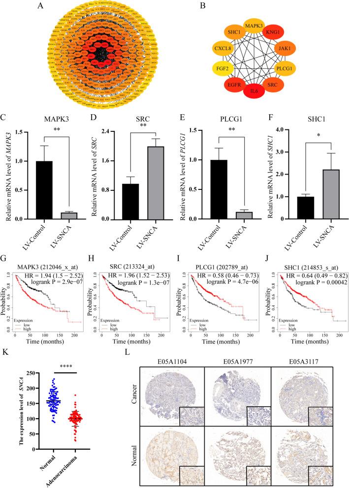 https://cdn.ncbi.nlm.nih.gov/pmc/blobs/94c5/9009002/3f93b264e18a/12885_2022_9289_Fig7_HTML.jpg