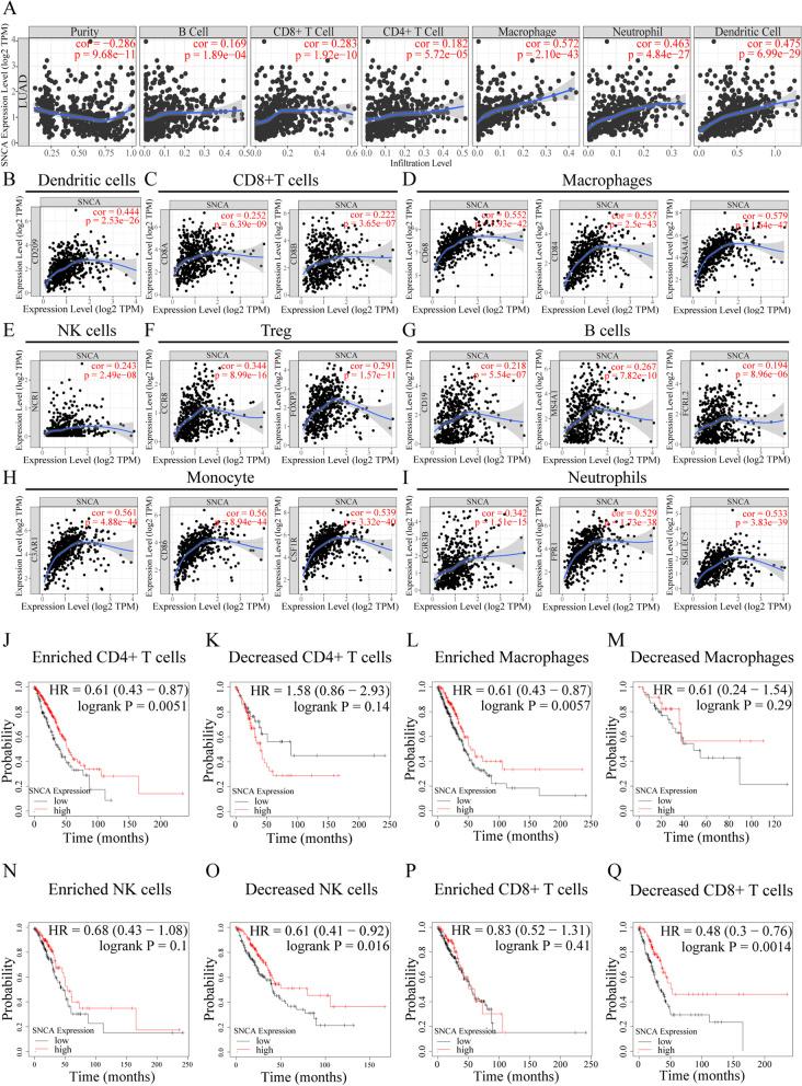 https://cdn.ncbi.nlm.nih.gov/pmc/blobs/94c5/9009002/7103a495887b/12885_2022_9289_Fig8_HTML.jpg