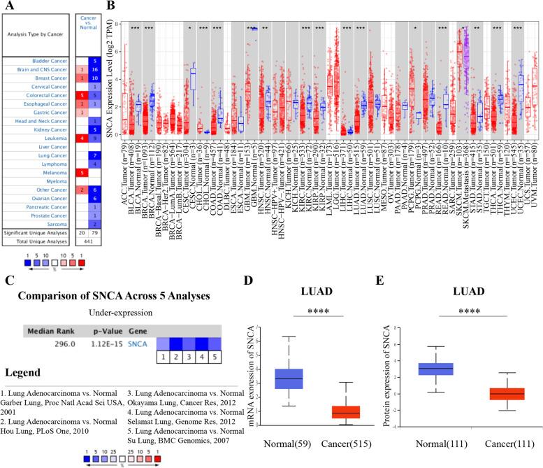 https://cdn.ncbi.nlm.nih.gov/pmc/blobs/94c5/9009002/ce75bf6e8639/12885_2022_9289_Fig2_HTML.jpg