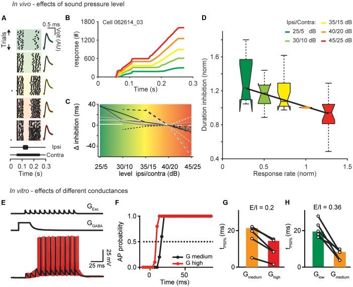 https://cdn.ncbi.nlm.nih.gov/pmc/blobs/94c6/6381077/c092f09a5e4f/fncir-13-00008-g0001.jpg