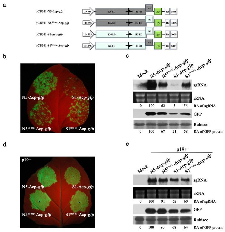https://cdn.ncbi.nlm.nih.gov/pmc/blobs/94c7/9861833/0bf936e3d4bb/viruses-15-00157-g003.jpg