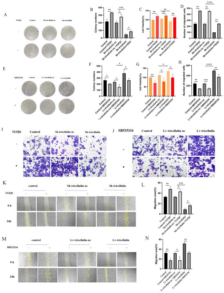 https://cdn.ncbi.nlm.nih.gov/pmc/blobs/94c8/12021625/75ab65509e65/fonc-15-1562976-g004.jpg