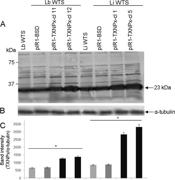 https://cdn.ncbi.nlm.nih.gov/pmc/blobs/94c9/4261743/5fd51793fb0c/13071_2014_1594_Fig2_HTML.jpg