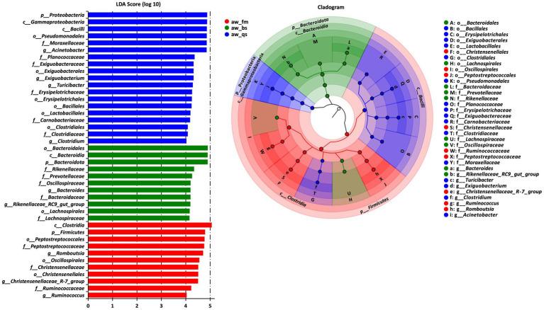 https://cdn.ncbi.nlm.nih.gov/pmc/blobs/94cb/11852841/725c5f024835/fmicb-16-1502898-g005.jpg