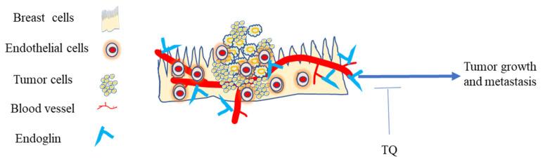 https://cdn.ncbi.nlm.nih.gov/pmc/blobs/94cd/8746460/775939c5d8d9/nutrients-14-00079-g006.jpg