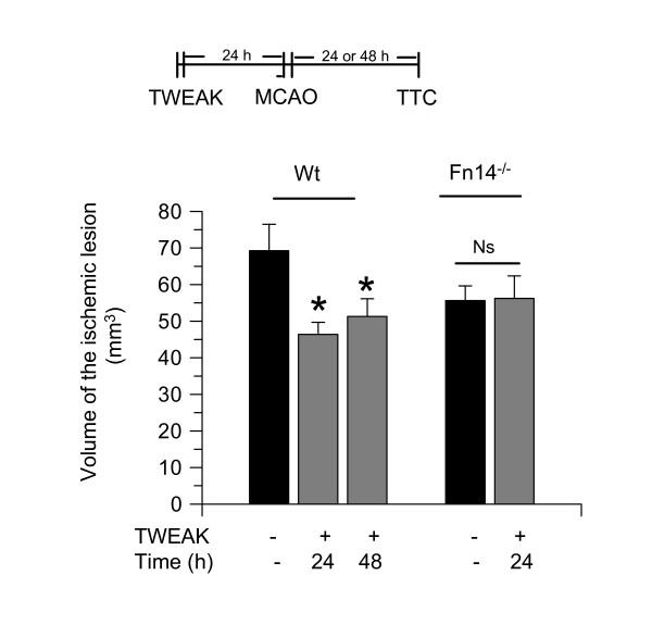 https://cdn.ncbi.nlm.nih.gov/pmc/blobs/94cf/3311607/7d301912d99d/1742-2094-9-45-3.jpg