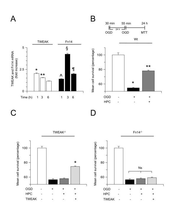 https://cdn.ncbi.nlm.nih.gov/pmc/blobs/94cf/3311607/a0c8a37d3ce8/1742-2094-9-45-2.jpg