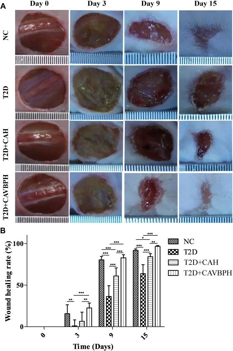 https://cdn.ncbi.nlm.nih.gov/pmc/blobs/94d2/9427019/0913a656289b/JIR-15-4921-g0004.jpg