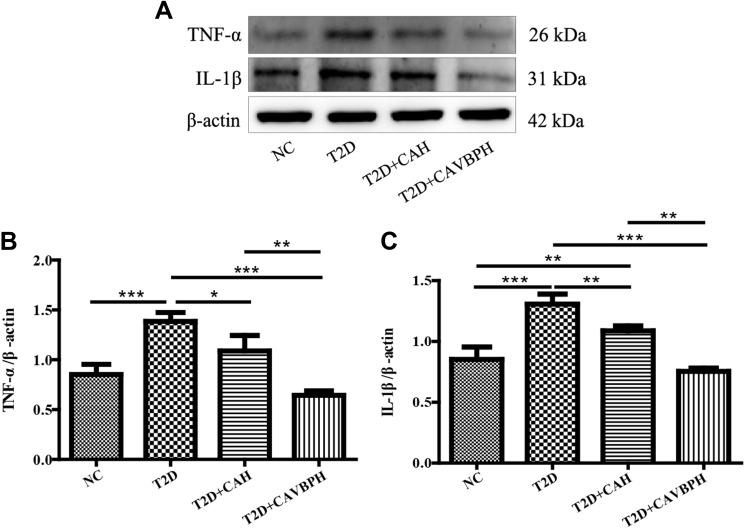 https://cdn.ncbi.nlm.nih.gov/pmc/blobs/94d2/9427019/3bf12e982ed6/JIR-15-4921-g0008.jpg