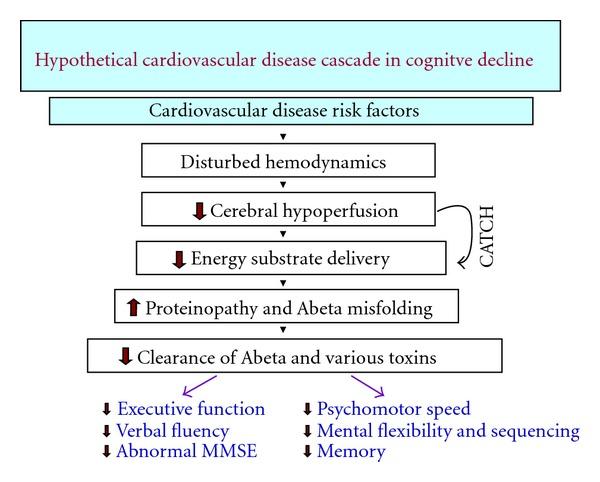 https://cdn.ncbi.nlm.nih.gov/pmc/blobs/94d4/3518077/854f1afbbacd/CPN2012-367516.002.jpg