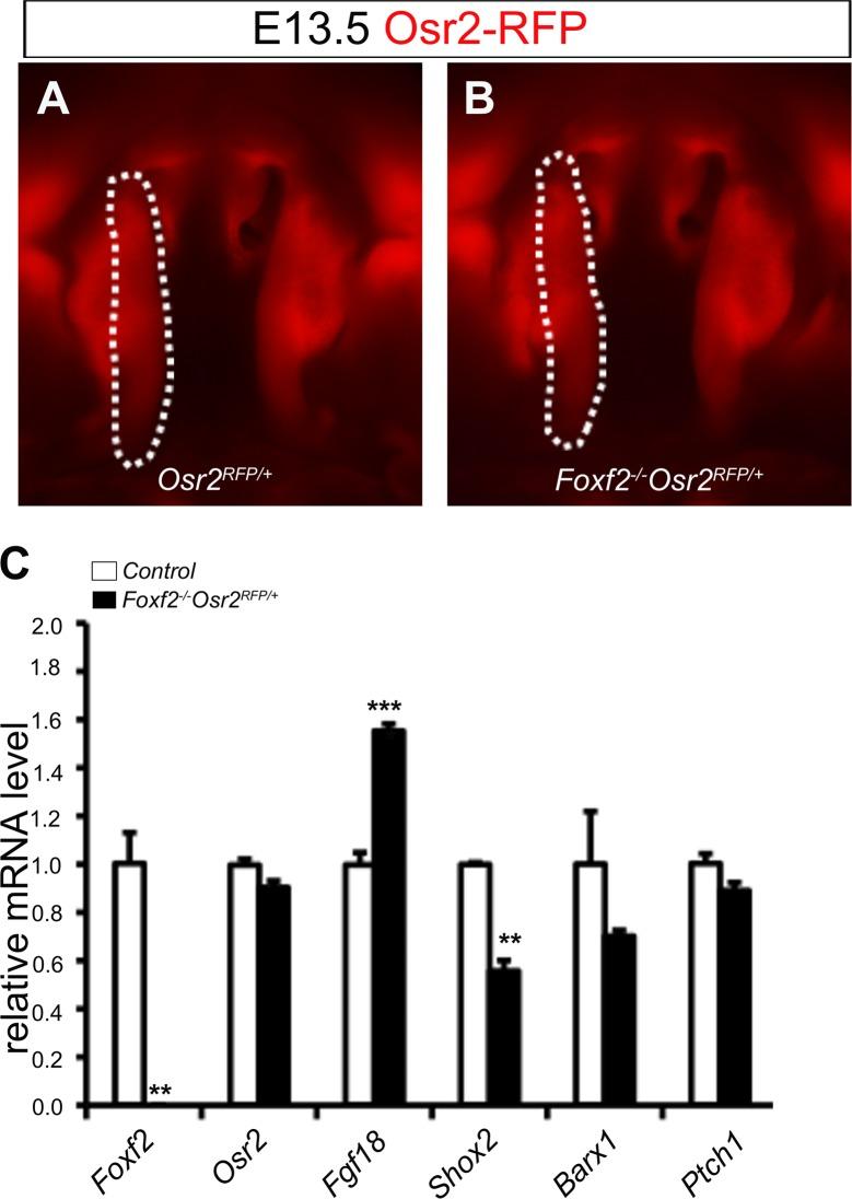 https://cdn.ncbi.nlm.nih.gov/pmc/blobs/94d5/4712829/96b186775251/pgen.1005769.g004.jpg