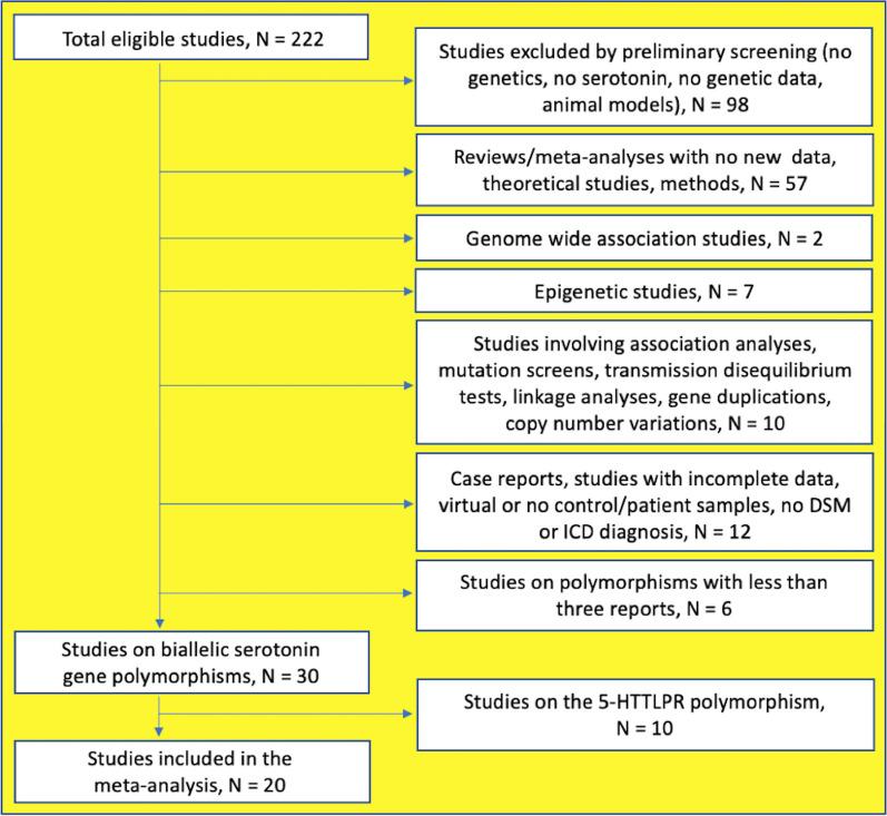 https://cdn.ncbi.nlm.nih.gov/pmc/blobs/94d6/11052845/3afa81892532/40519_2024_1659_Fig1_HTML.jpg
