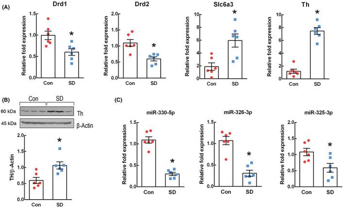 https://cdn.ncbi.nlm.nih.gov/pmc/blobs/94d9/10173715/6e0235ad804b/CNS-29-1525-g002.jpg