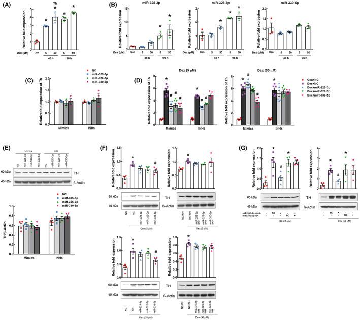 https://cdn.ncbi.nlm.nih.gov/pmc/blobs/94d9/10173715/e7a2220eea3b/CNS-29-1525-g003.jpg