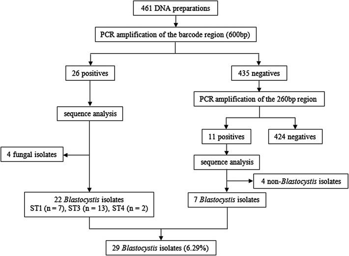 https://cdn.ncbi.nlm.nih.gov/pmc/blobs/94d9/6658150/ba5630757201/parasite-26-46-fig1.jpg
