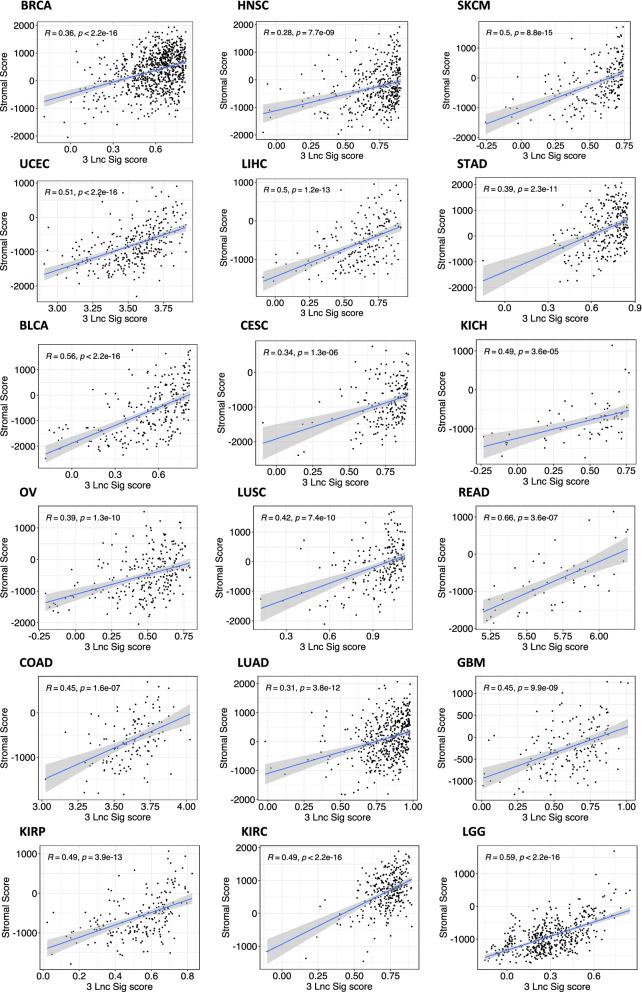 https://cdn.ncbi.nlm.nih.gov/pmc/blobs/94d9/9523969/7b5200558356/12967_2022_3654_Fig6_HTML.jpg