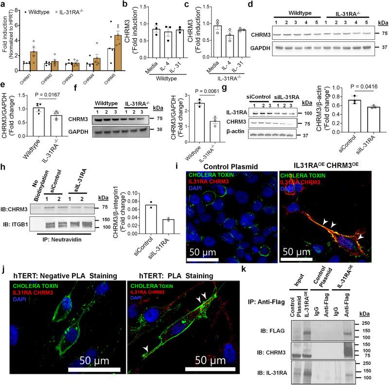 https://cdn.ncbi.nlm.nih.gov/pmc/blobs/94de/10713652/3b61d17da4a8/41467_2023_44040_Fig9_HTML.jpg