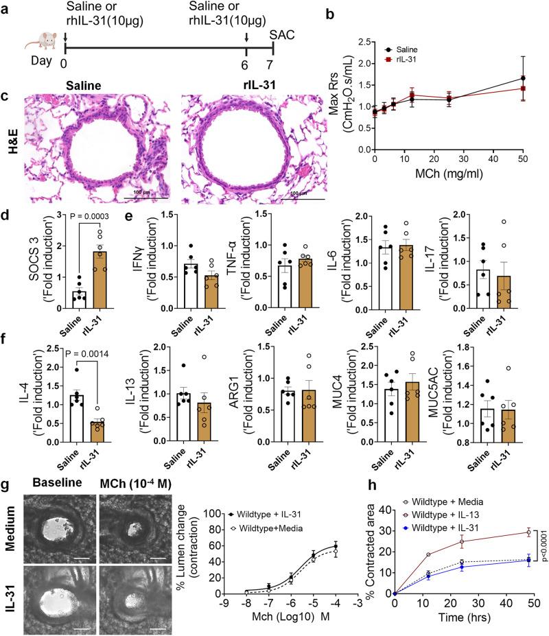 https://cdn.ncbi.nlm.nih.gov/pmc/blobs/94de/10713652/5f5f6f09a34e/41467_2023_44040_Fig5_HTML.jpg