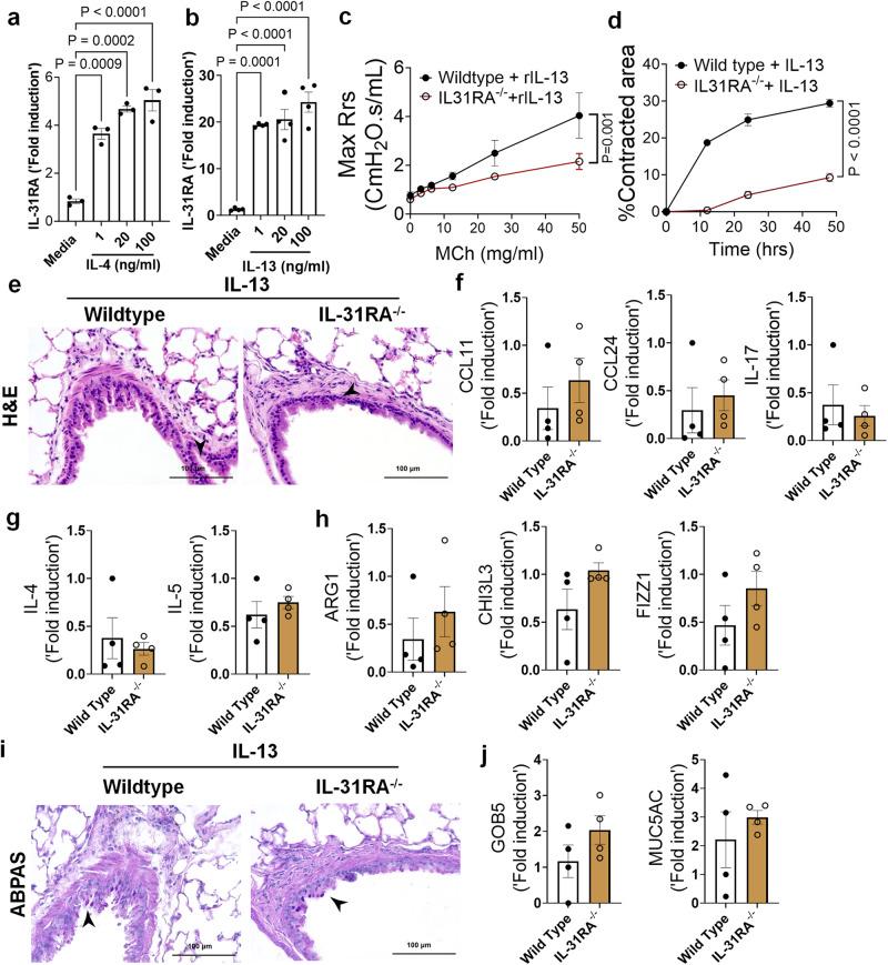 https://cdn.ncbi.nlm.nih.gov/pmc/blobs/94de/10713652/d0079dbc5b48/41467_2023_44040_Fig6_HTML.jpg