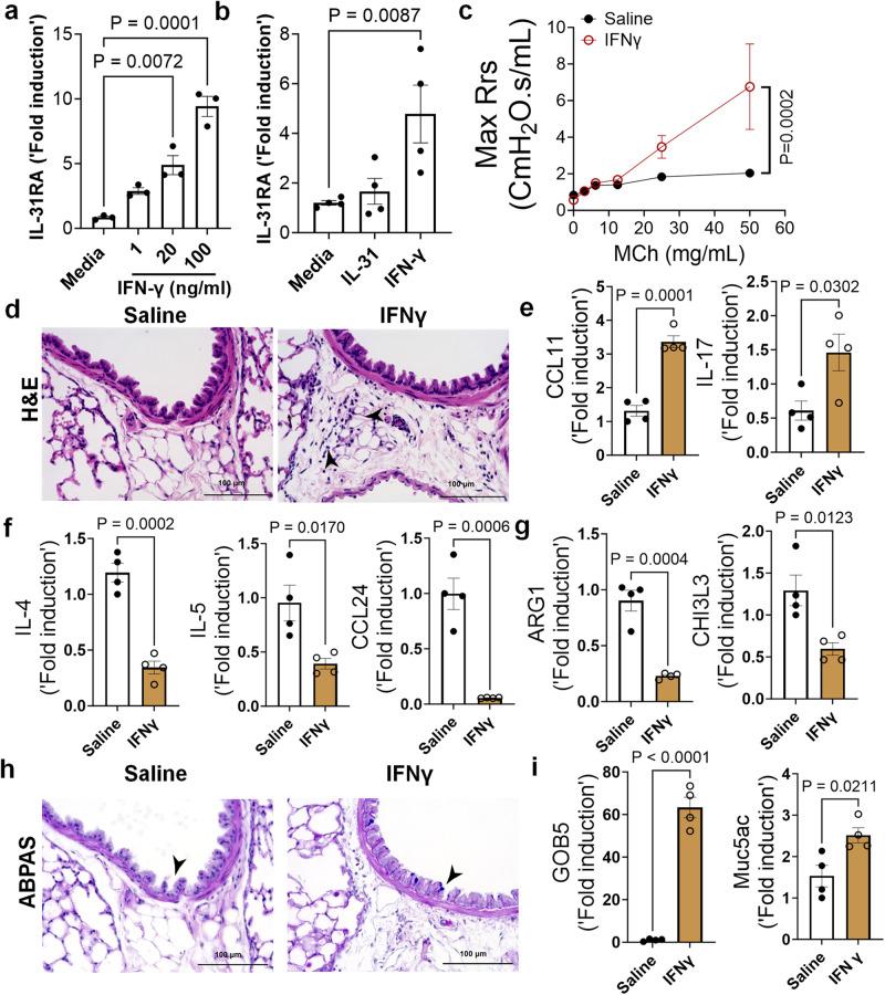 https://cdn.ncbi.nlm.nih.gov/pmc/blobs/94de/10713652/db52e9df0b19/41467_2023_44040_Fig7_HTML.jpg
