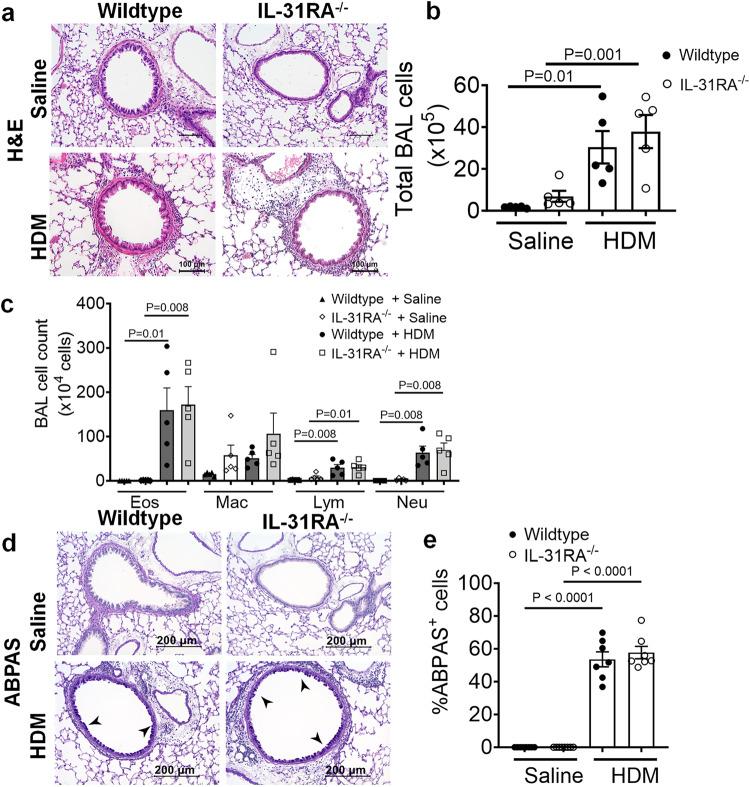https://cdn.ncbi.nlm.nih.gov/pmc/blobs/94de/10713652/e832ab12ef07/41467_2023_44040_Fig2_HTML.jpg