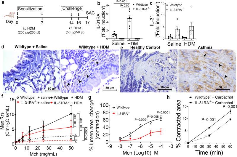 https://cdn.ncbi.nlm.nih.gov/pmc/blobs/94de/10713652/f49387d35085/41467_2023_44040_Fig1_HTML.jpg