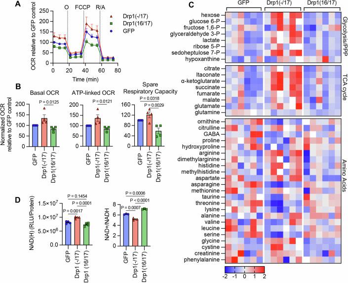 https://cdn.ncbi.nlm.nih.gov/pmc/blobs/94de/11467262/579f0a05c2b0/44319_2024_232_Fig4_HTML.jpg