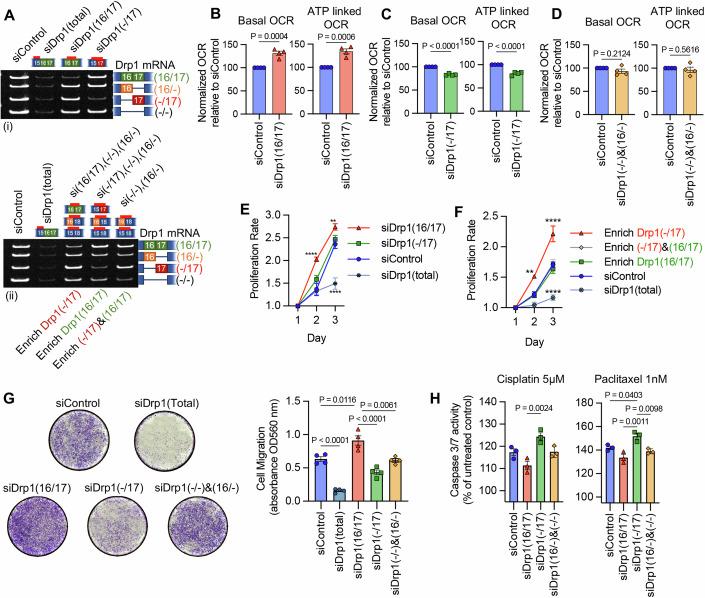 https://cdn.ncbi.nlm.nih.gov/pmc/blobs/94de/11467262/ba8bbf88f404/44319_2024_232_Fig8_HTML.jpg