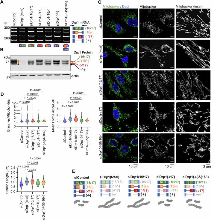 https://cdn.ncbi.nlm.nih.gov/pmc/blobs/94de/11467262/be8b0b15bd2d/44319_2024_232_Fig7_HTML.jpg