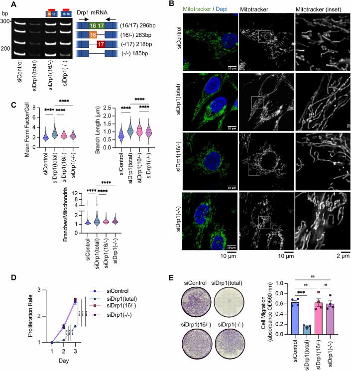 https://cdn.ncbi.nlm.nih.gov/pmc/blobs/94de/11467262/e36e878282de/44319_2024_232_Fig13_ESM.jpg