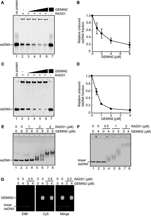 https://cdn.ncbi.nlm.nih.gov/pmc/blobs/94de/2926616/57a291b8a47d/gkq271f1.jpg