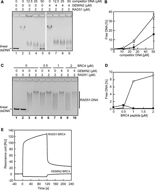 https://cdn.ncbi.nlm.nih.gov/pmc/blobs/94de/2926616/e424fad621dd/gkq271f2.jpg