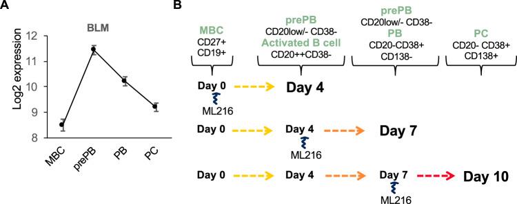 https://cdn.ncbi.nlm.nih.gov/pmc/blobs/94de/8102200/0998072a6c50/41375_2021_1234_Fig6_HTML.jpg