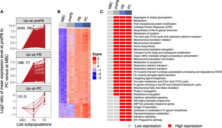 https://cdn.ncbi.nlm.nih.gov/pmc/blobs/94de/8102200/2c82b633ea05/41375_2021_1234_Fig4_HTML.jpg