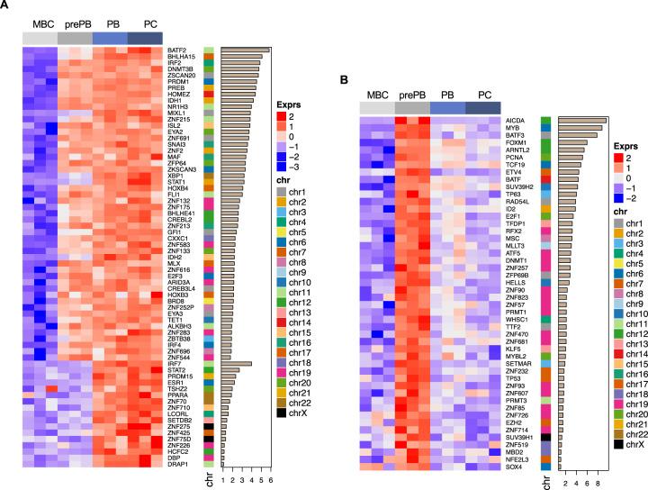 https://cdn.ncbi.nlm.nih.gov/pmc/blobs/94de/8102200/33d30f0575d3/41375_2021_1234_Fig5_HTML.jpg