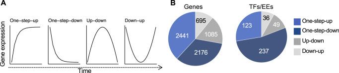 https://cdn.ncbi.nlm.nih.gov/pmc/blobs/94de/8102200/7b723f75a189/41375_2021_1234_Fig3_HTML.jpg