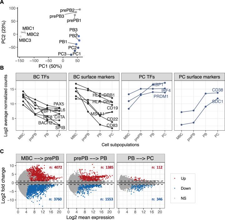 https://cdn.ncbi.nlm.nih.gov/pmc/blobs/94de/8102200/8393ead48c2d/41375_2021_1234_Fig2_HTML.jpg